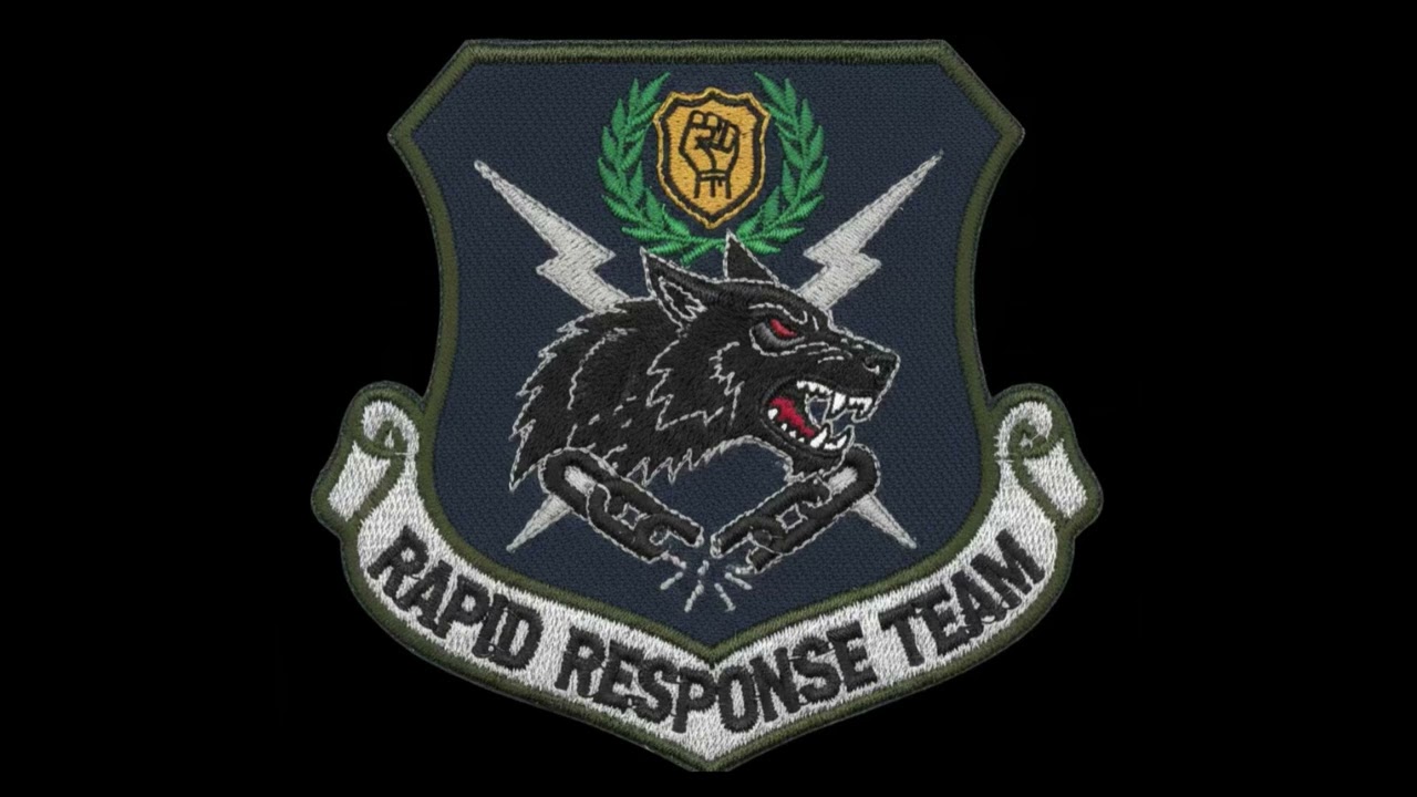 Rapid response team
