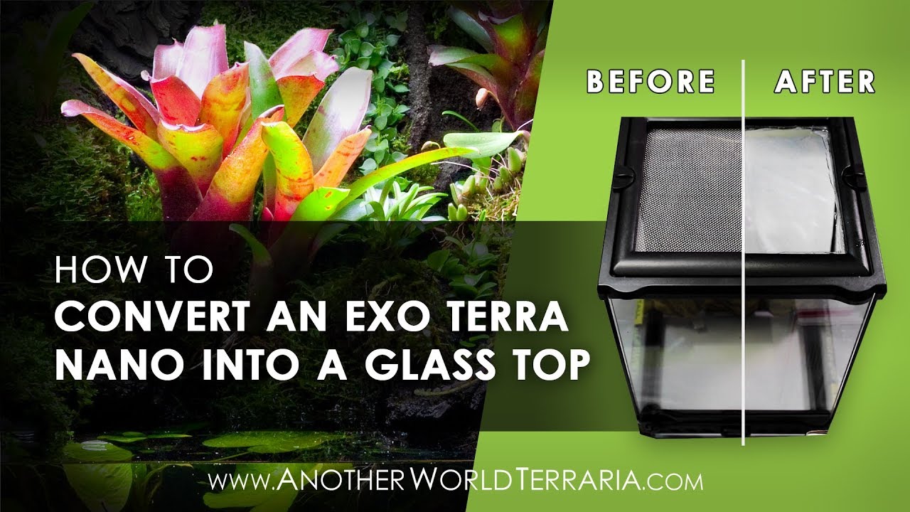 How to Convert an Exo Terra Nano Terrarium To a Glass Top