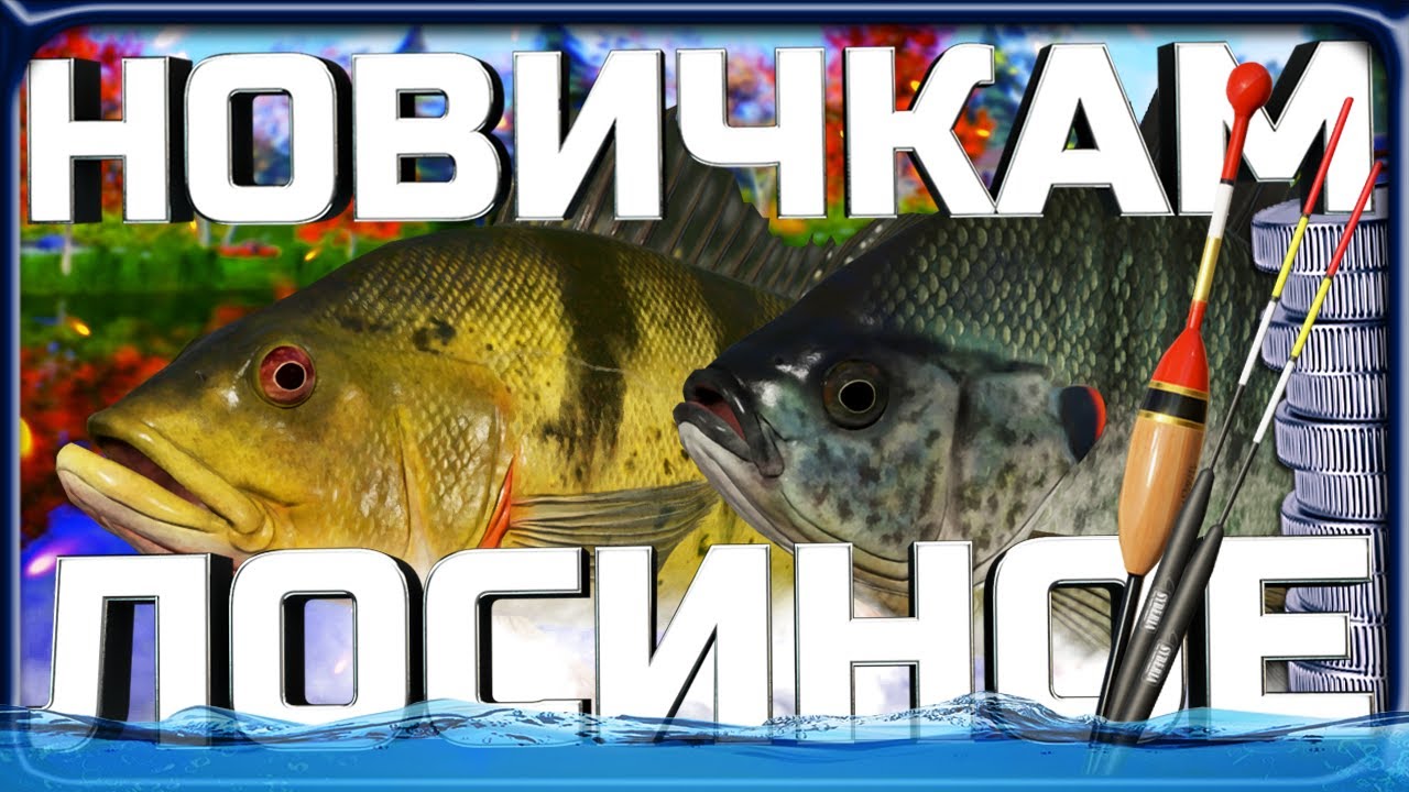 РР4 ЛУЧШИЙ ФАРМ и ПРОКАЧКА для НОВИЧКОВ на ЛОСИНОМ ОЗЕРЕ!