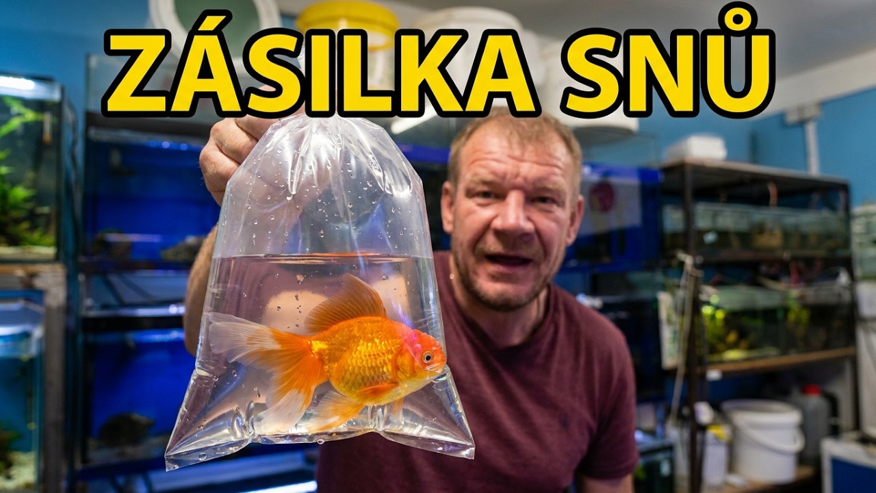 Takhle vypadá nová zásilka snů! Import ryb u Jiřího Kudrny