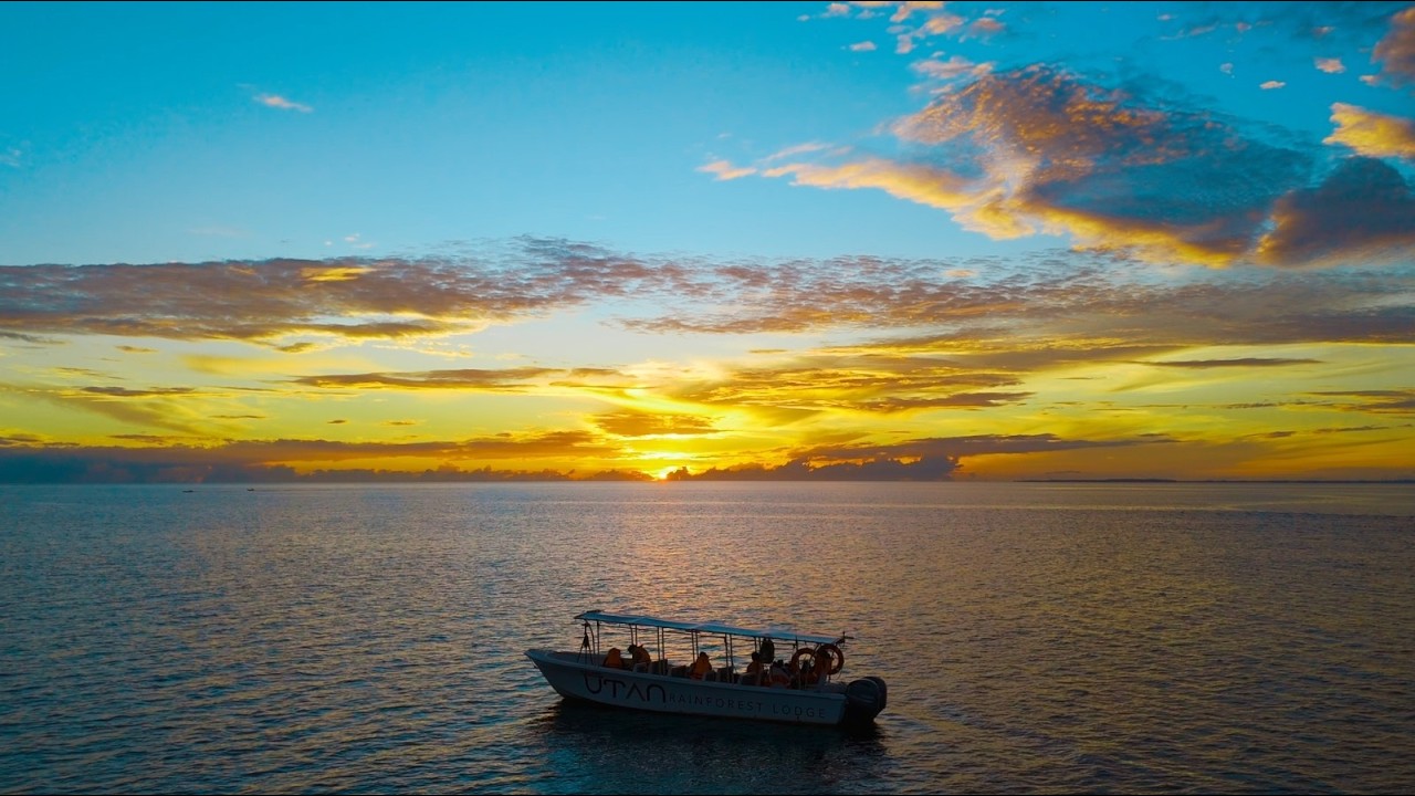 Utan Rainforest Lodge: Journey to the pristine frontiers of Sungai Kapur Virgin Jungle Reserve (VJR)