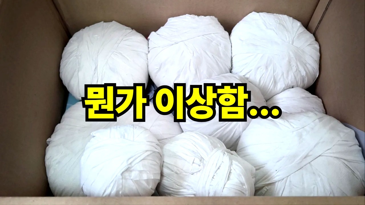 열자마자 느낌 왔습니다!! (26.3.18) (多肉植物) (たにくしょくぶつ) Korean Succulent