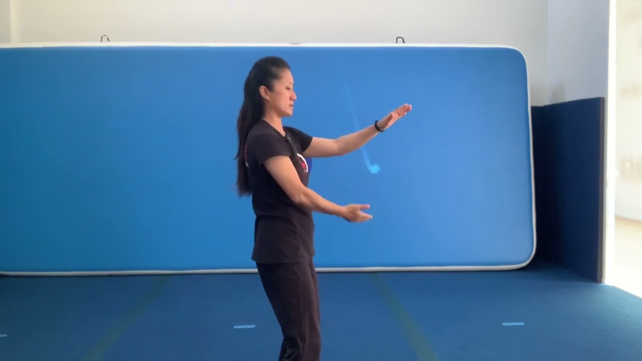 Подробности тренировки Repulse Monkey и Daojuanhong