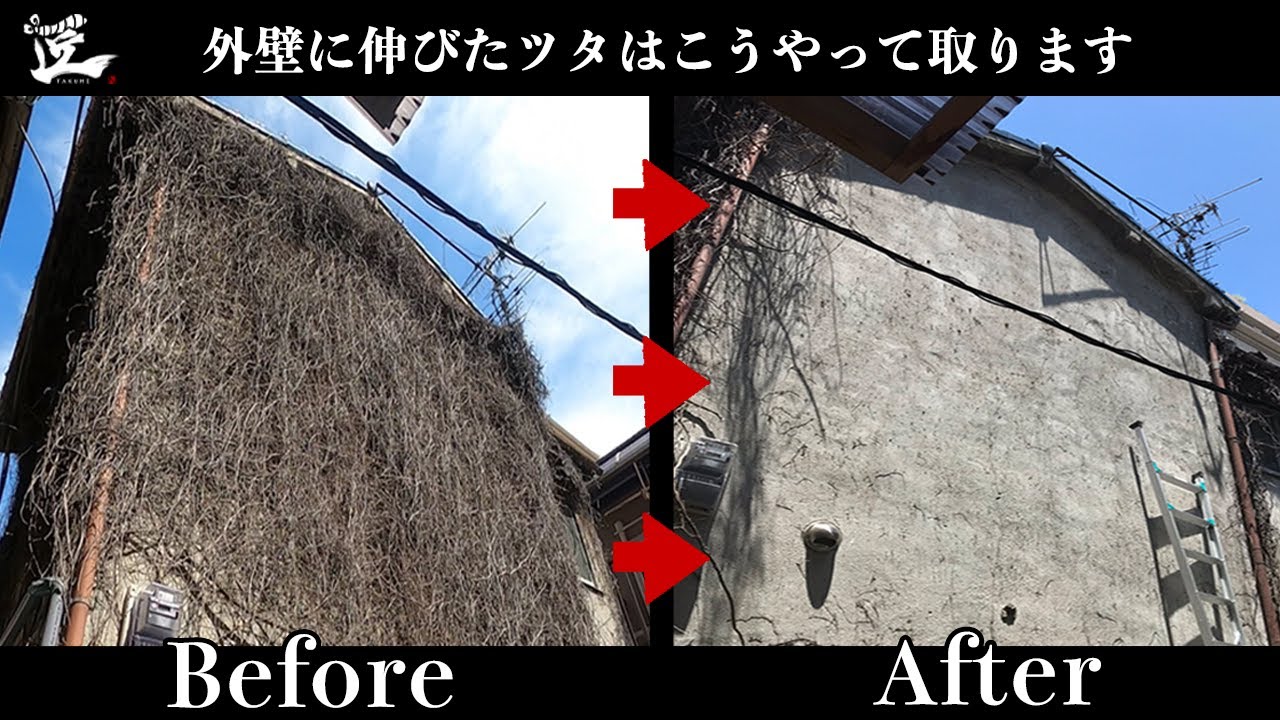 外壁に伸びたツタを除去します！ツタに浸食された古民家を撤去作業してたら凄い事になった