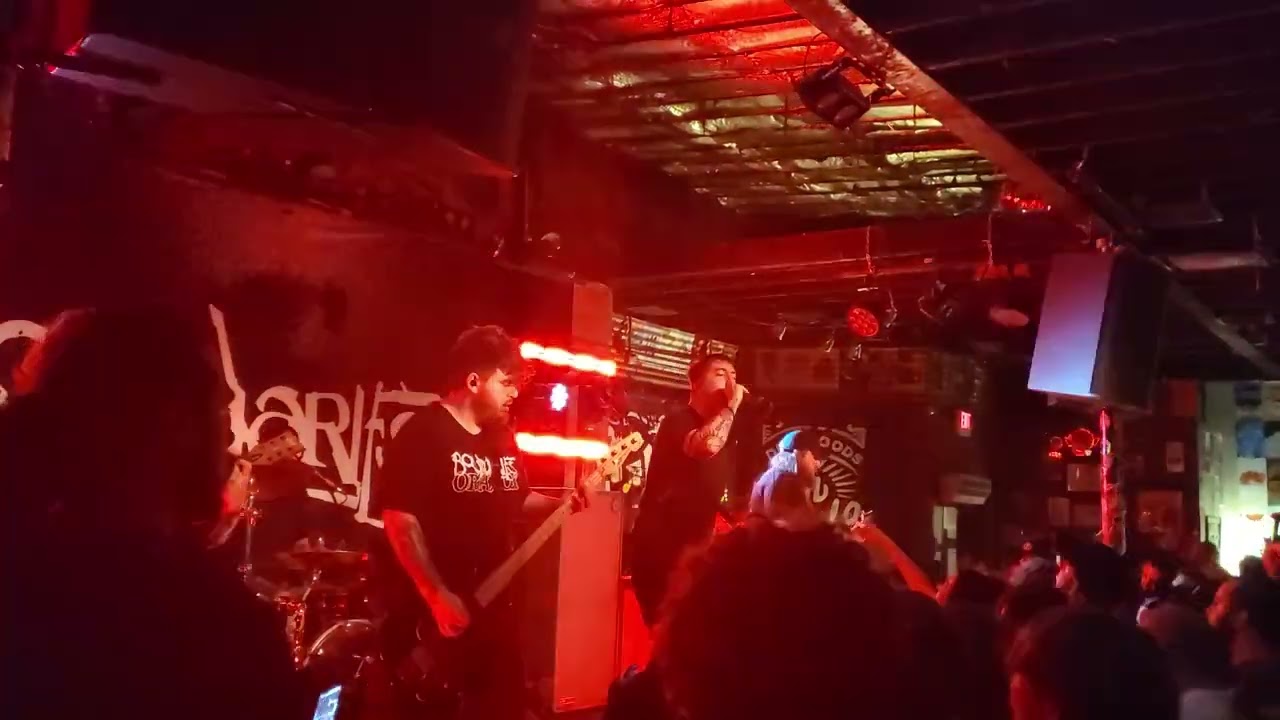 Boundaries - Darkness Shared / Like Petals From a Stem (live)