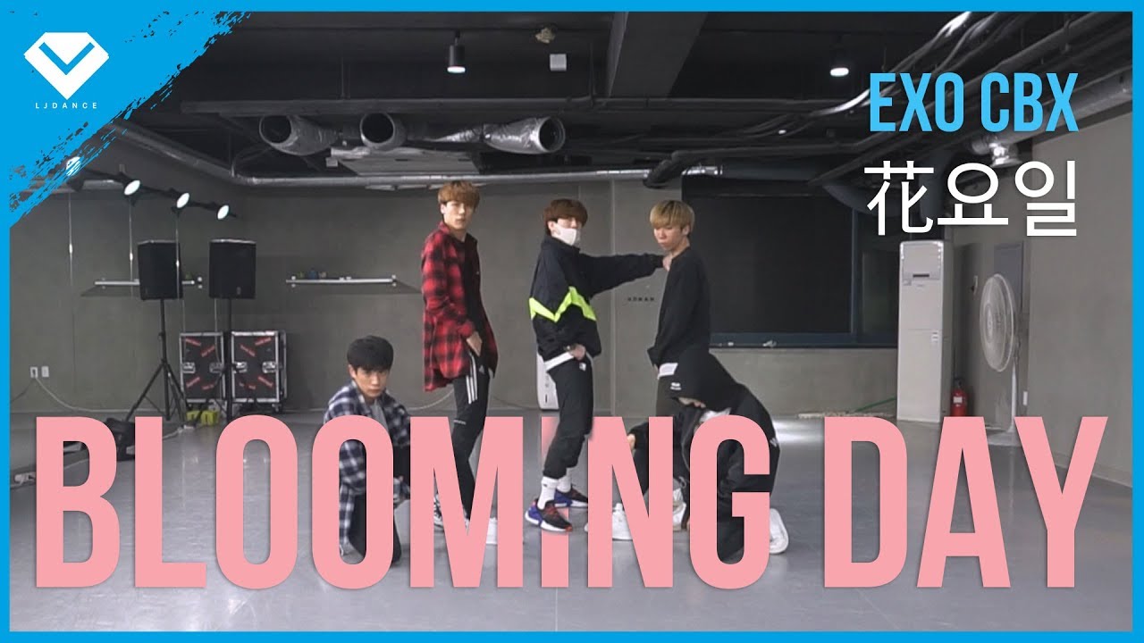 EXO-CBX (엑소 첸백시) Blooming Day 화요일(花요일) Dance Tutorial 안무 배우기 설명모드 by LJ DANCE 거울모드 Mirror Mode