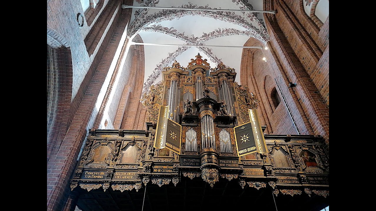 Orgel concert in  Helsingor (DK) -  30 July 2025 - Organist: Manuel Tomadin
