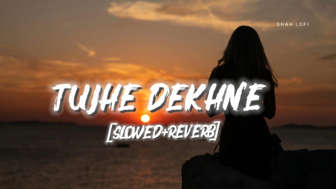 Tujhe Dekhne 💫 | Alone Feelings Lofi Sad Song | SHAH LOFI