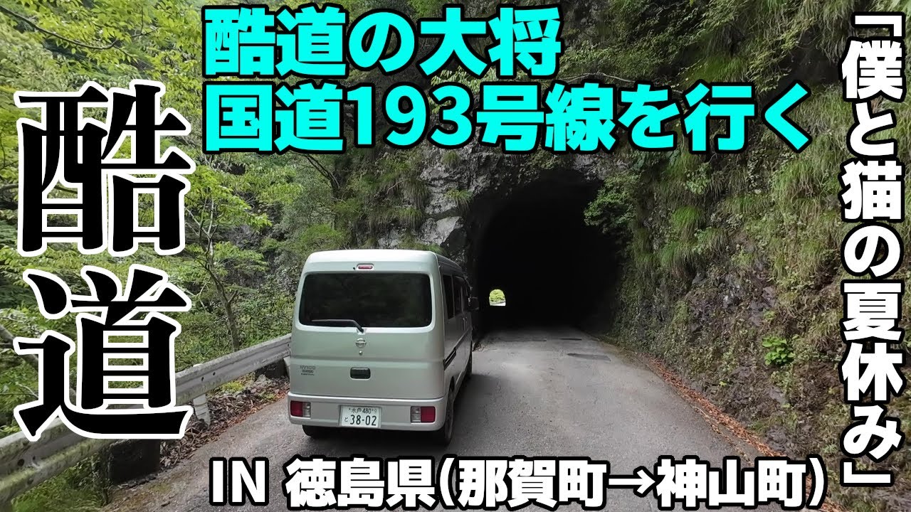【酷道】酷道の大将！！国道193号線  ～僕と猫の夏休み～