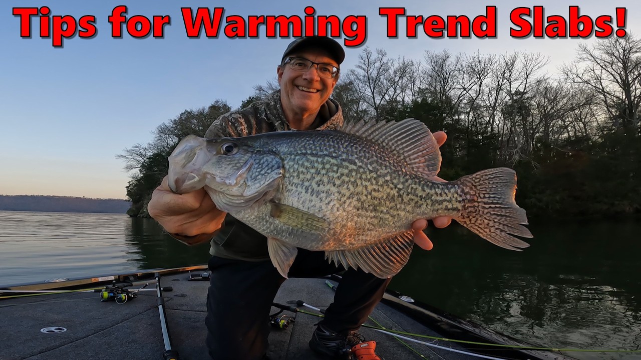 Tips for Catching Warming Trend Slabs