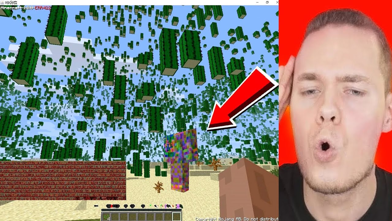 Minecraft 422 3RROR 