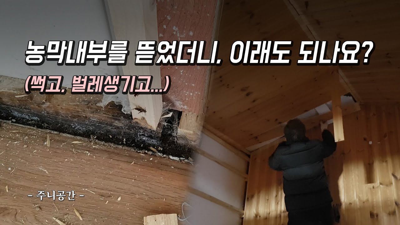 농막 내부를 뜯었더니, 이래도 되나요? (썩고, 벌레생기고...)