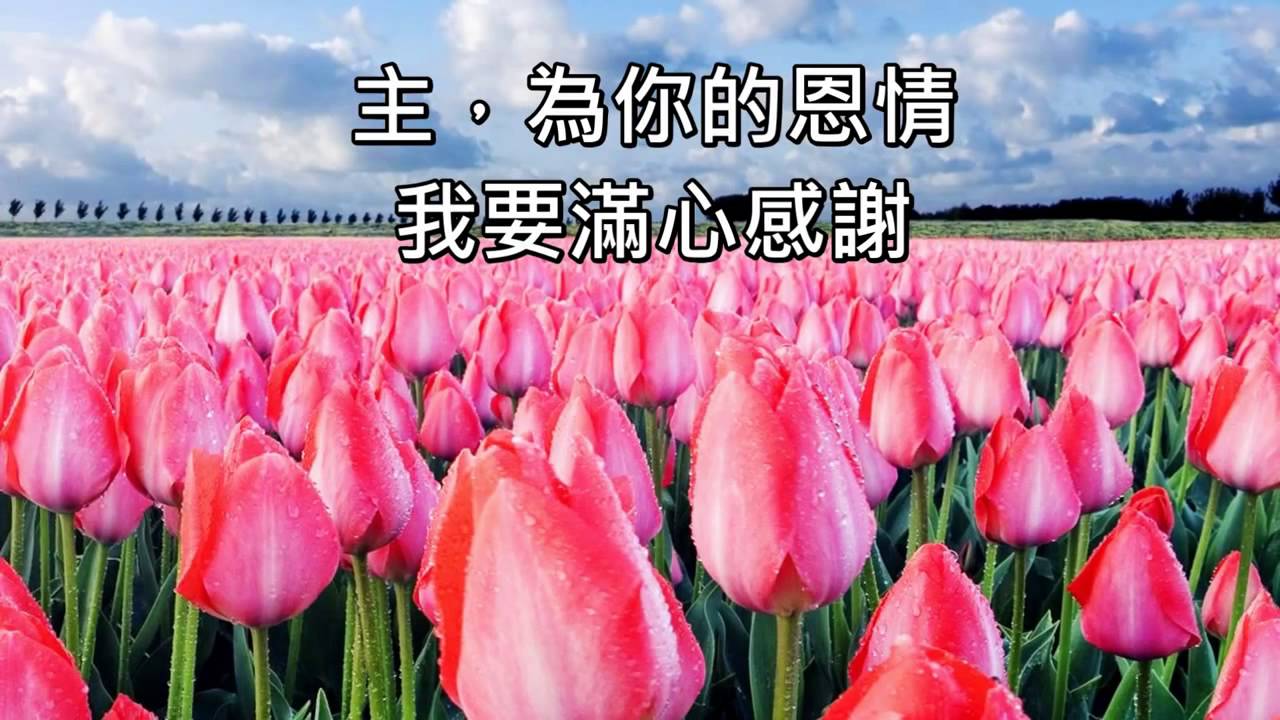 以感恩為祭 #诗歌 #赞美诗歌 #赞美诗 #敬拜詩歌 #敬拜赞美