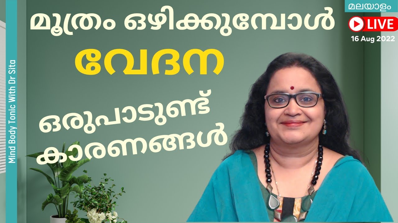 മൂത്രം ഒഴിക്കുമ്പോൾ വേദന | ഒരുപാടു കാരണങ്ങൾ | Pain During Passing Urine | Dysuria Dr Sita| Malayalam