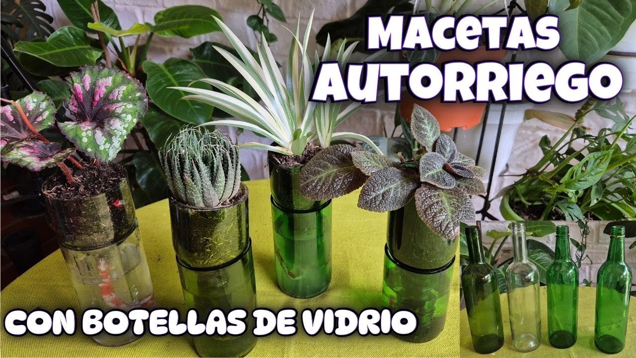 CÓMO HACER MACETAS AUTORRIEGO con botellas de vidrio/Liliana Muñoz