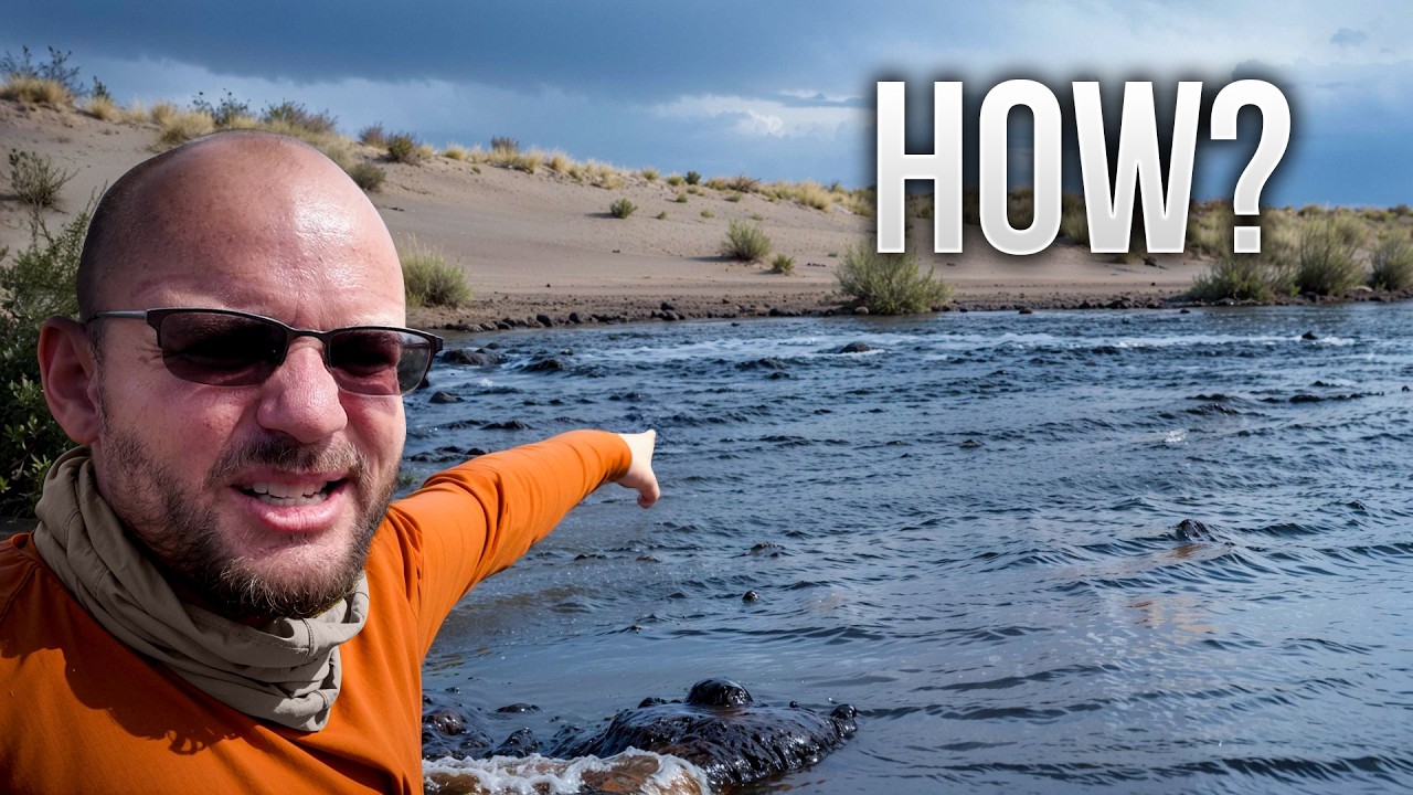 We Tamed a Raging Desert Flood