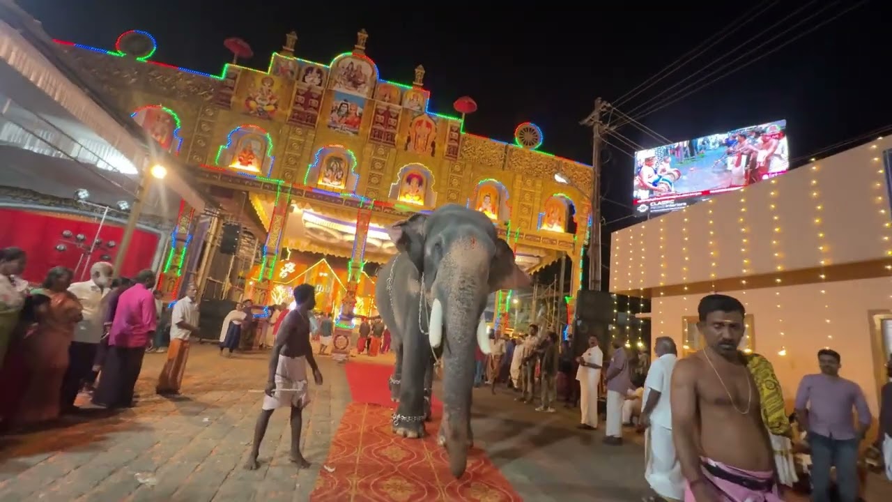 Chirakkal Sreeparameshwaran❤️‍🔥🐘