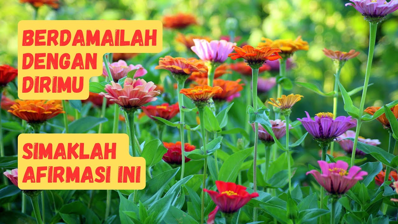 AFIRMASI POSITIF | BERDAMAILAH DENGAN DIRIMU | SELF LOVE | LEPASKAN EMOSI NEGATIF @dailyvibrant12