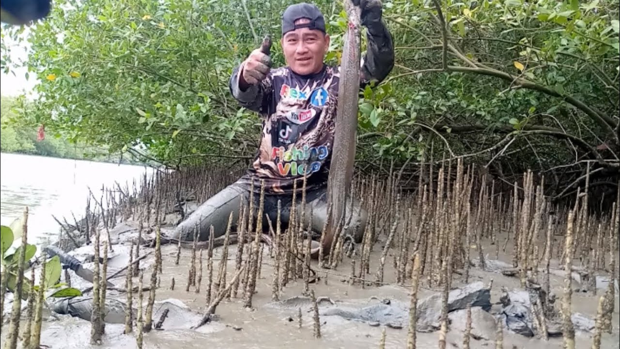 Catch big eel fish catch and cook 