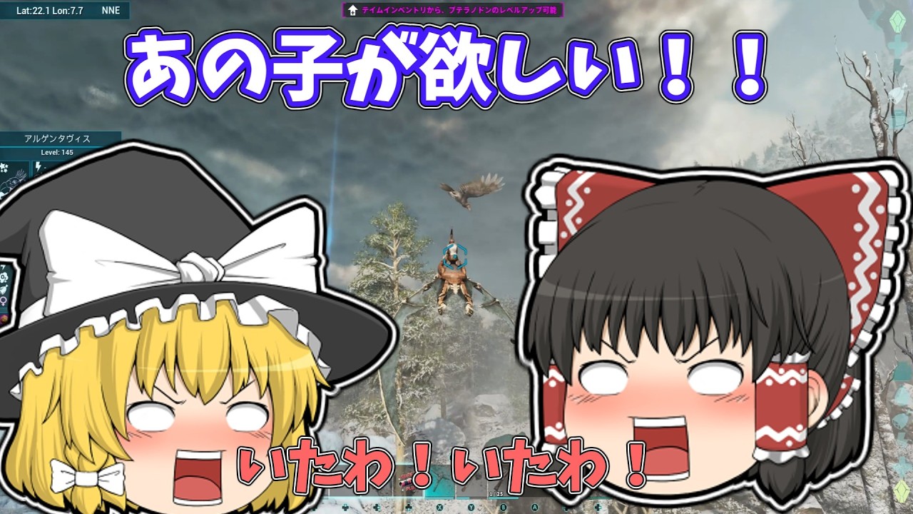 ARK5　早速乗り換え　快適便利なお空の友達