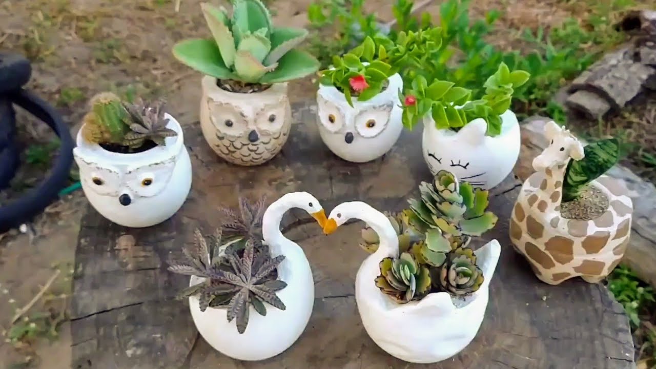 vasos de cimento para cactos e suculentas, usei como forma garrafa pet.