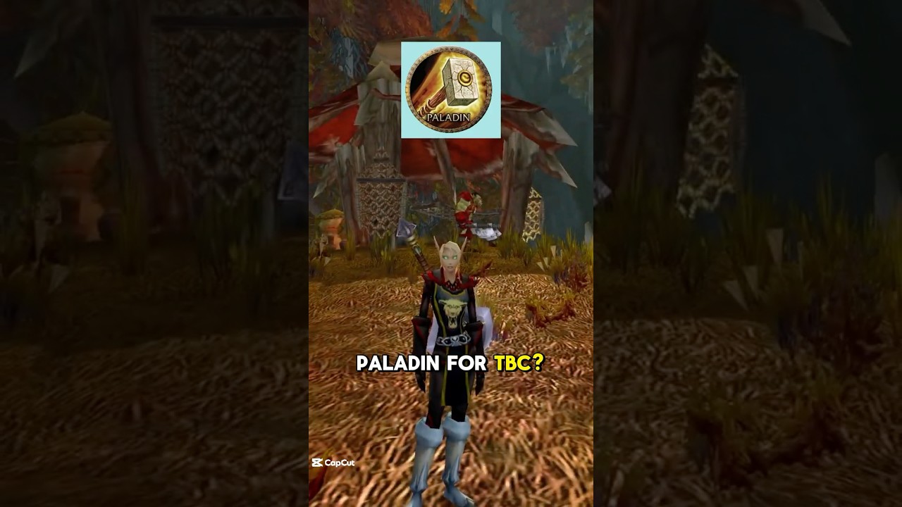 How Paladins Seal Twist in TBC (Quick Guide)  