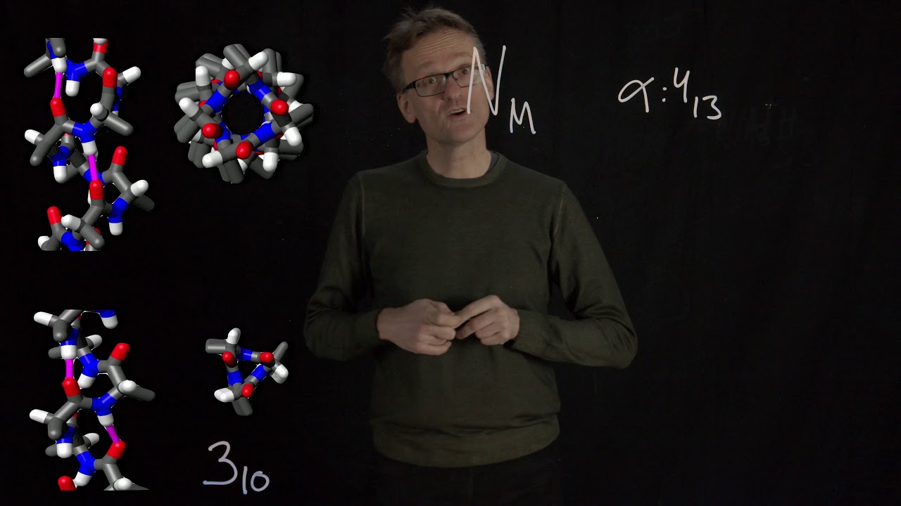 Lecture 05, concept 15: Alpha, 3_10 and pi helices