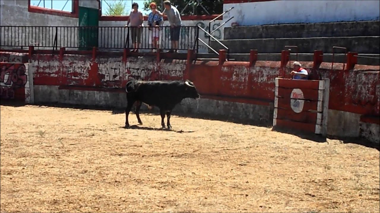 Encierro a caballo y capea El Payo 10-08-2013