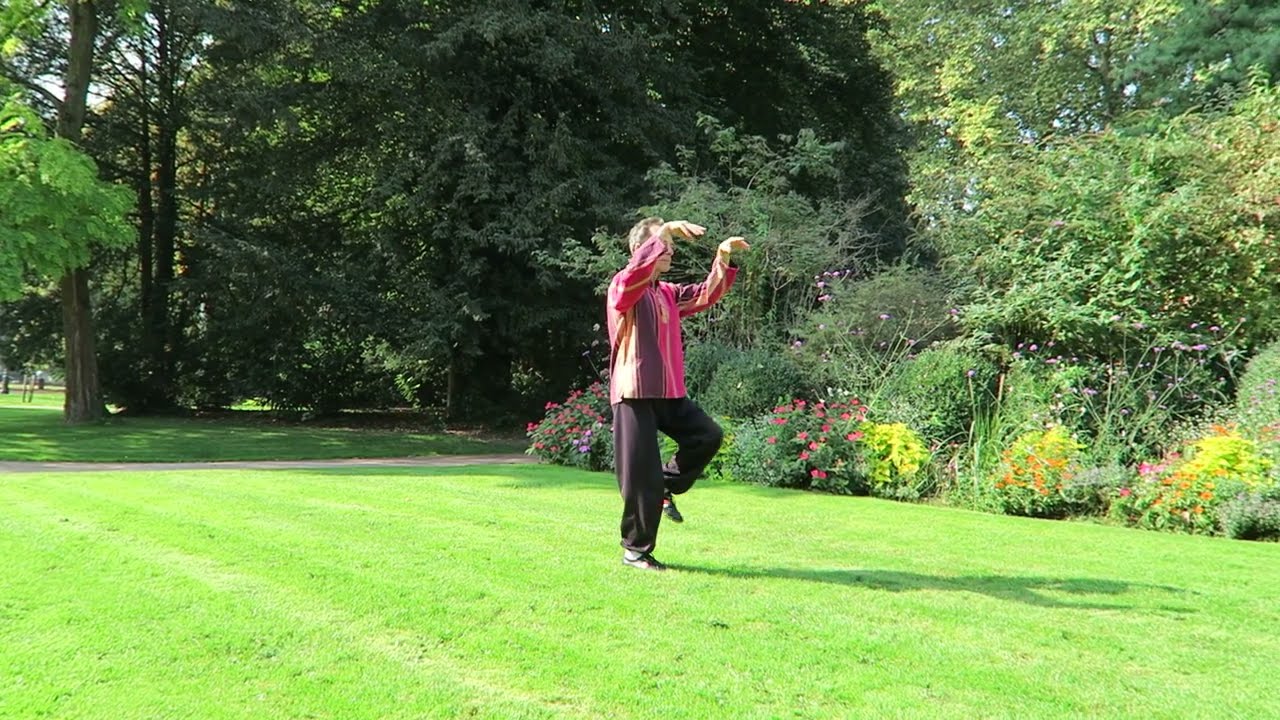 Qi Gong des Grandes Oies Sauvages