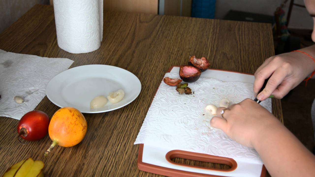 Pflanze aus Mangostan gewinnen und kleinen Baum züchten.