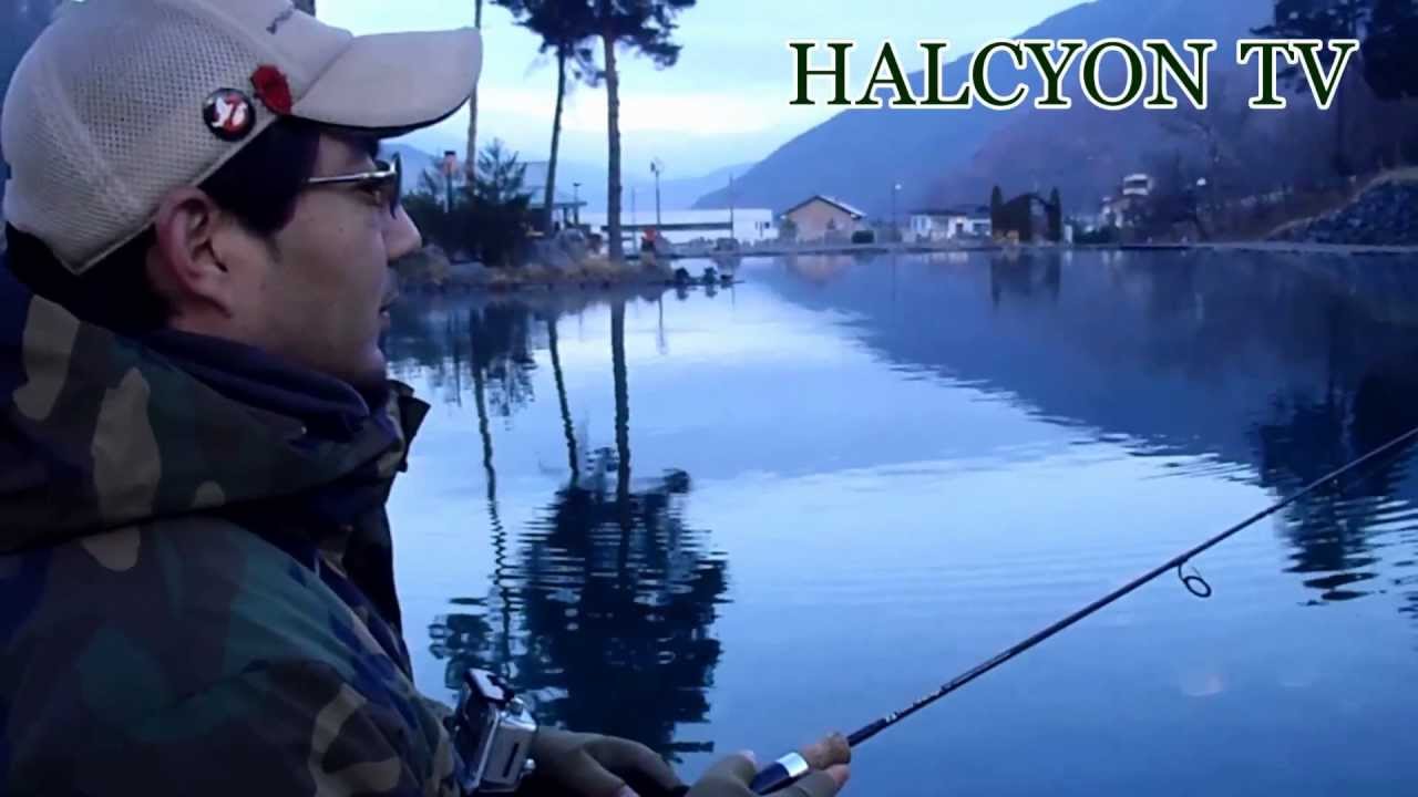 DENS５０US　Trout　Minnowing　・TG shige