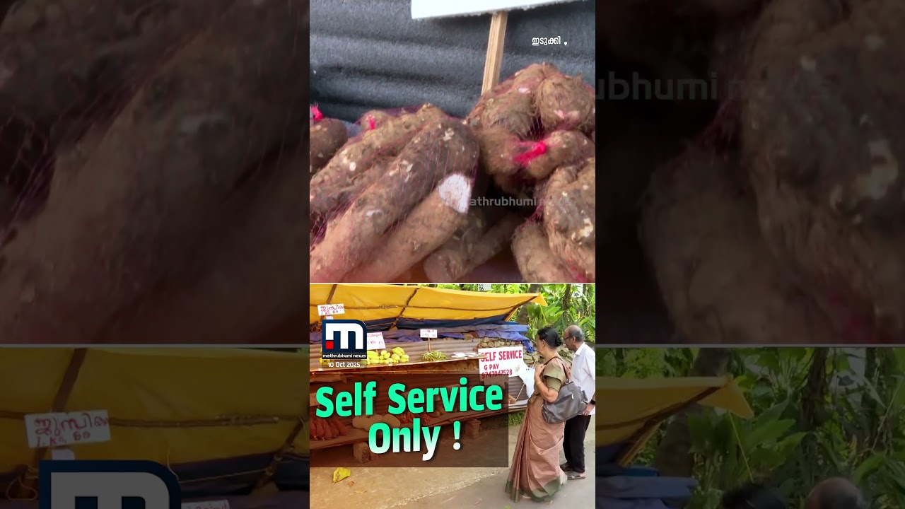 Come, pick up, pay, and leave; Thodupuzha's 'self-service' vegetable shop
