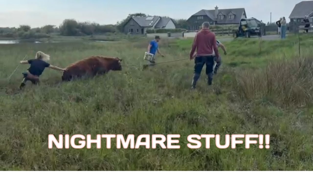THE KINDA THING FARMING NIGHTMARES ARE MADE OF...