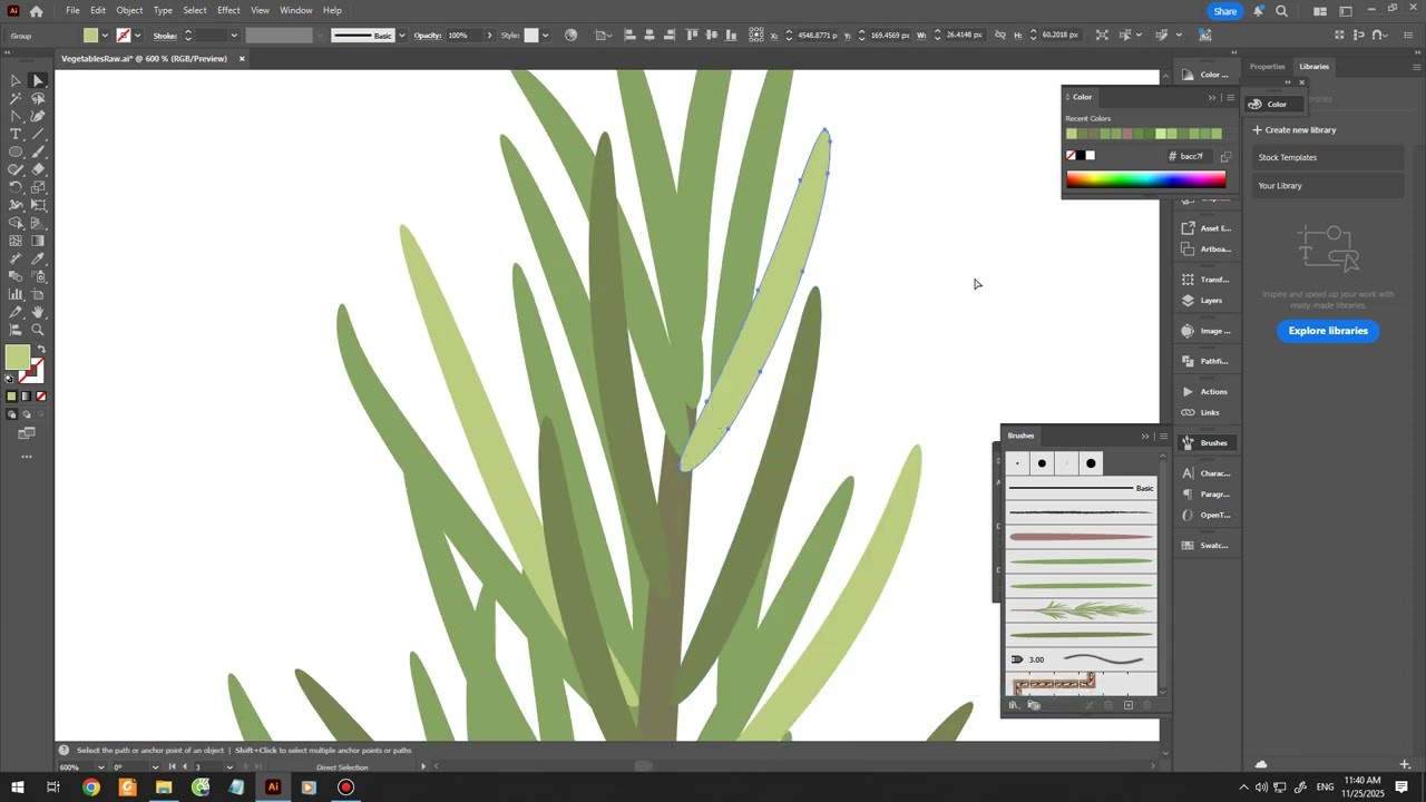 2025-11-25 | Drawing Rosemary in Adobe Illustrator | Simple Vector Study