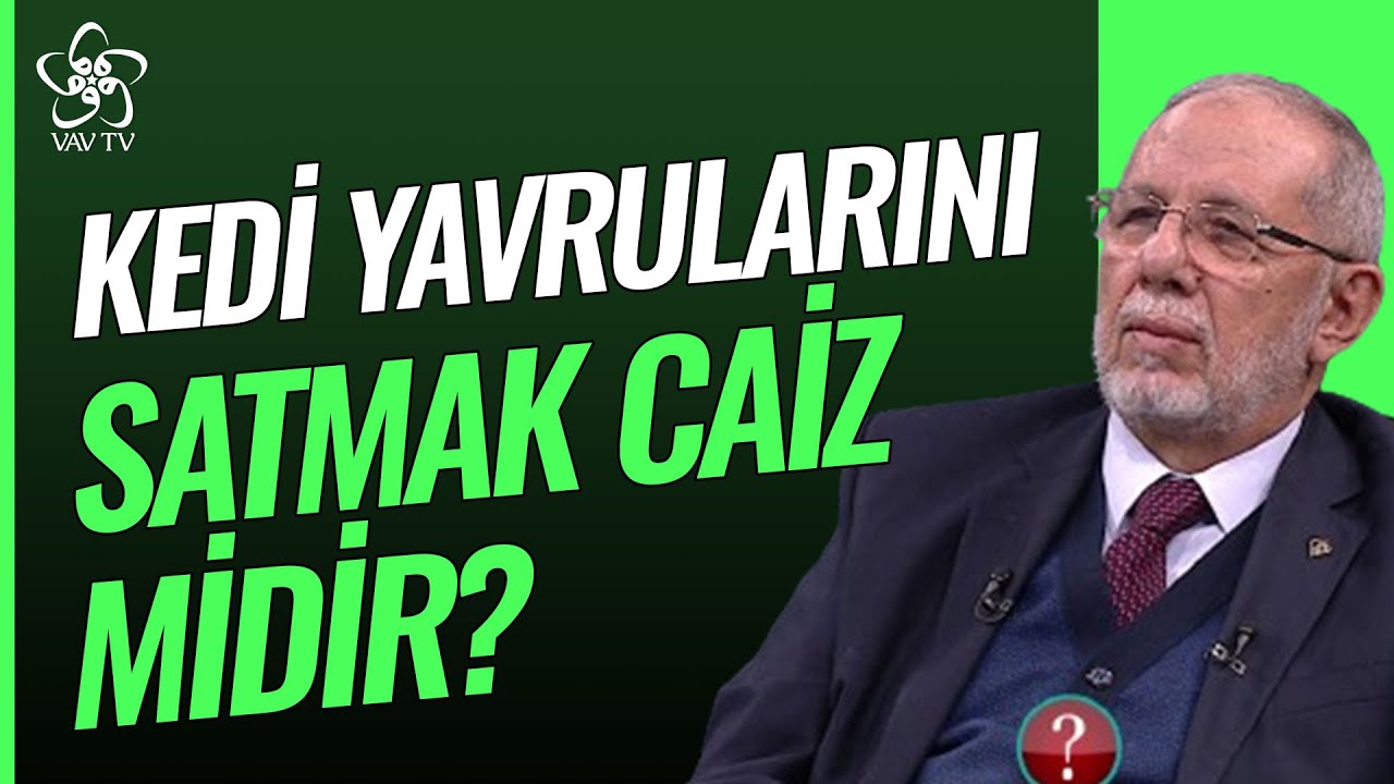 Kedilerin Yavrularını Satmak Caiz midir? | Dr. Hüseyin Kayapınar Vav TV