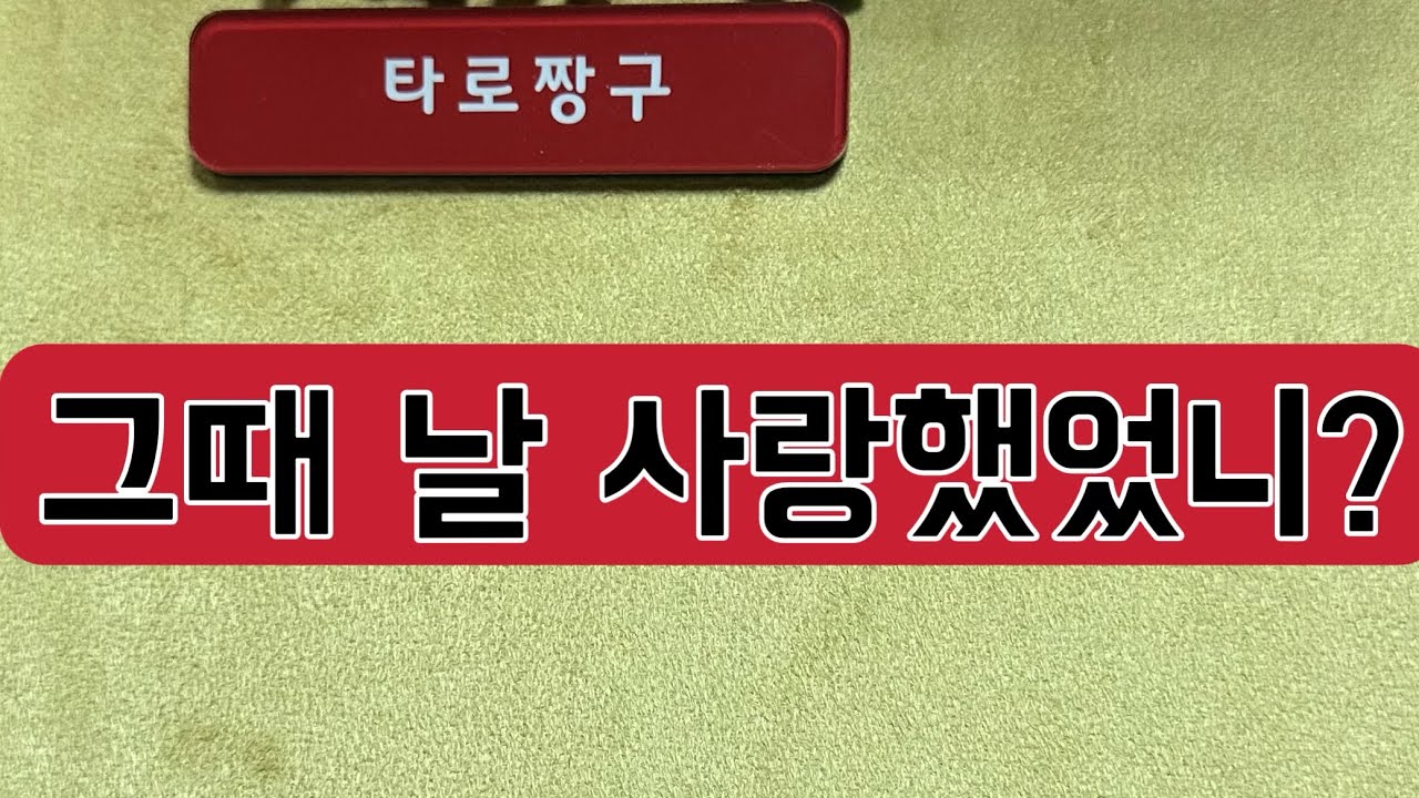 [타로짱구] 희망고문 없는 현실직시 타로
