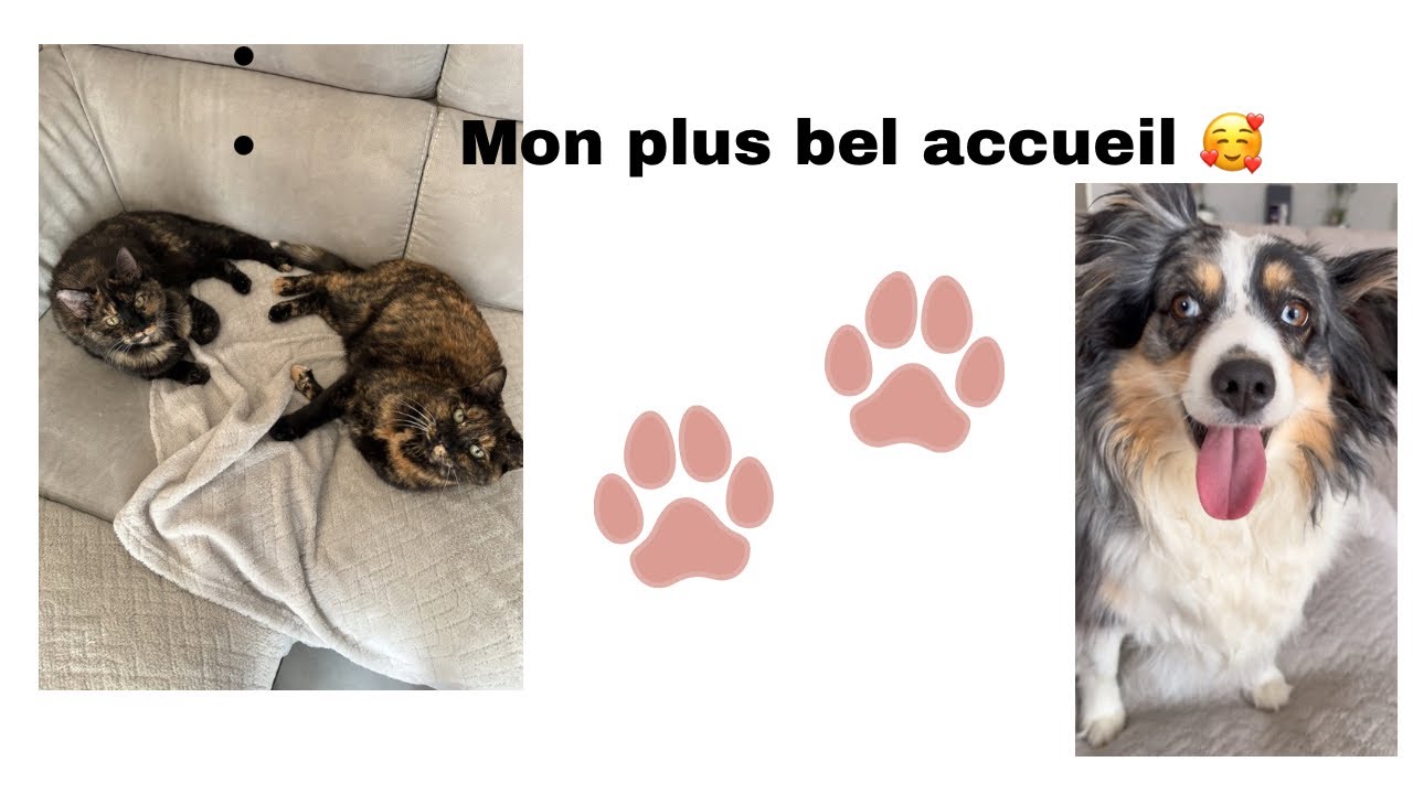 2 mars 2026