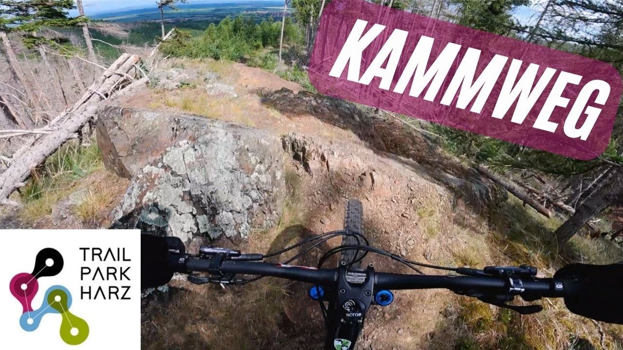 Kammweg - Trailpark Harz | mittelschwerer MTB Trail | legaler Trail im Harz | Ilsenburg