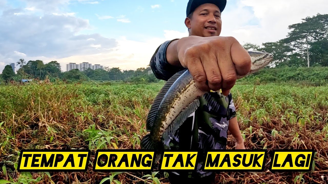 Tahan Tajur Di Tanjung Gemok #gengdunia 