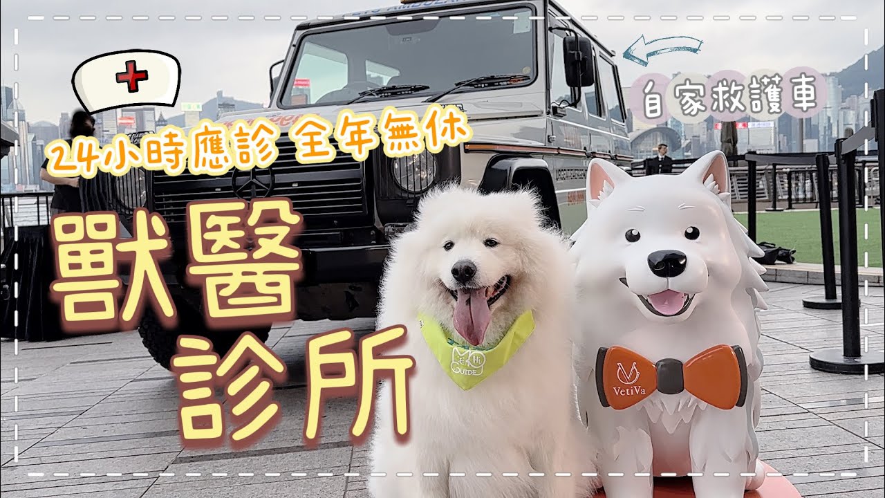 【獸醫診所】參觀位於K11 Musea，有自家救護車，全年無休24小時應診的獸醫診所｜西摩Tako｜@big_dog_channel
