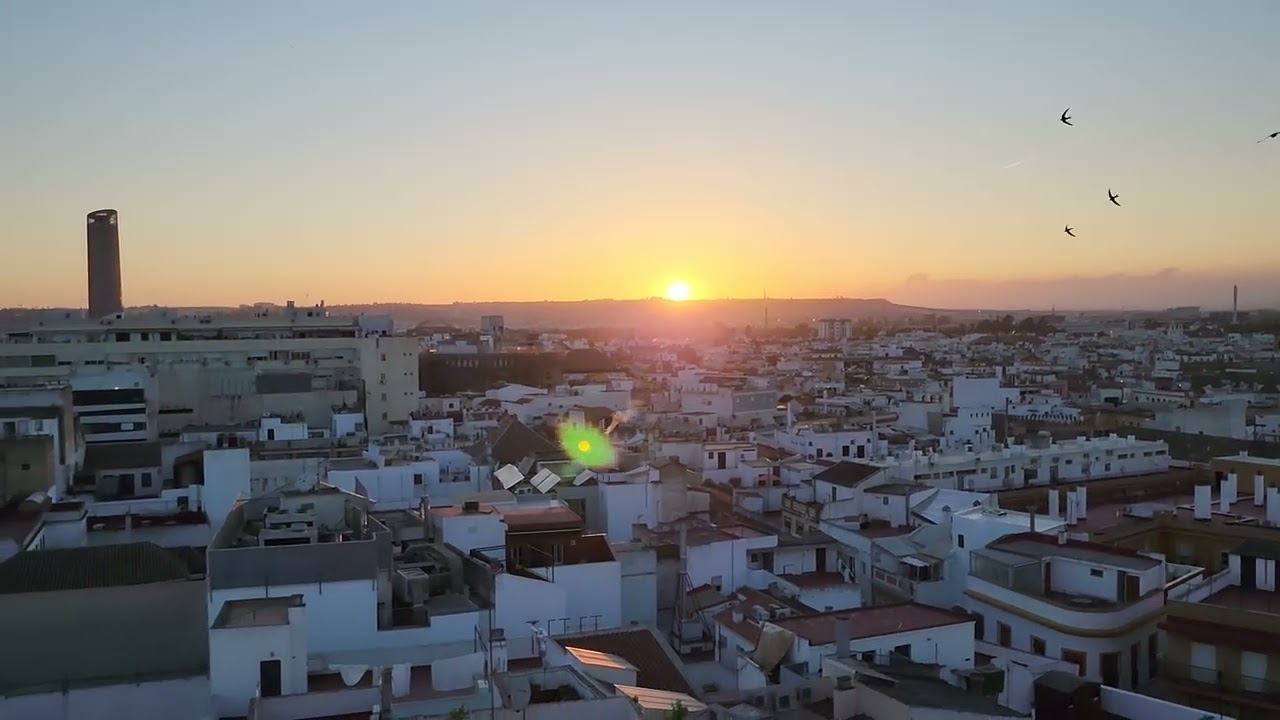 Setas de Sevilla, Spain 2023