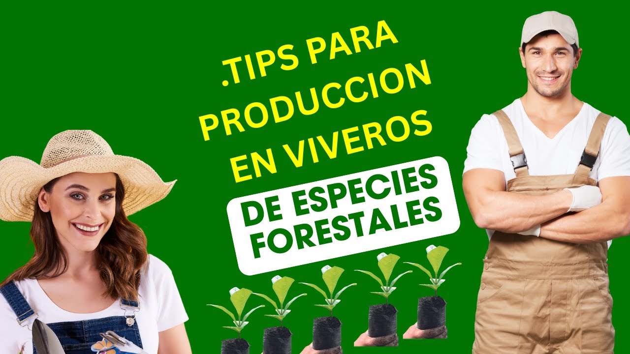 TIPS PARA PRODUCCION EN VIVEROS DE ESPECIES FORESTALES🌳🌳🌳