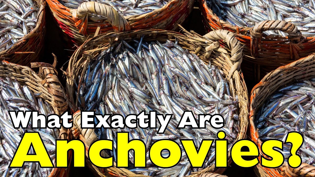 What Exactly Are Anchovies? (And Why They’re Everywhere) [ID0912]