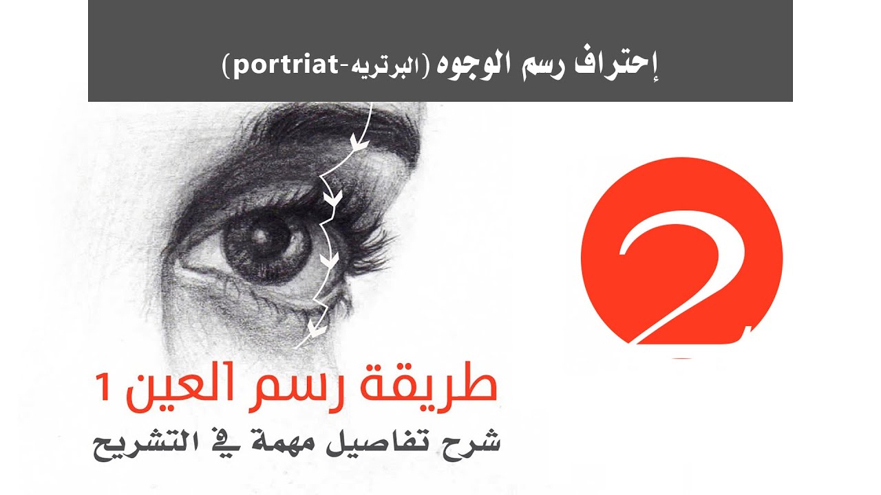 طريقة رسم العين 1 | تشريح العين وشرح تفاصيل مهمة للرسامين  #رسم #العين portrait# #برتريه