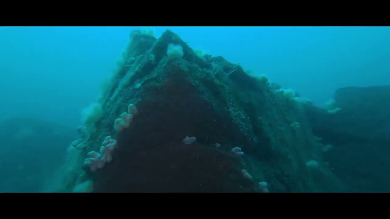 Club dive on Eddystone Reef 16.4.23 @Divevideosbychristine
