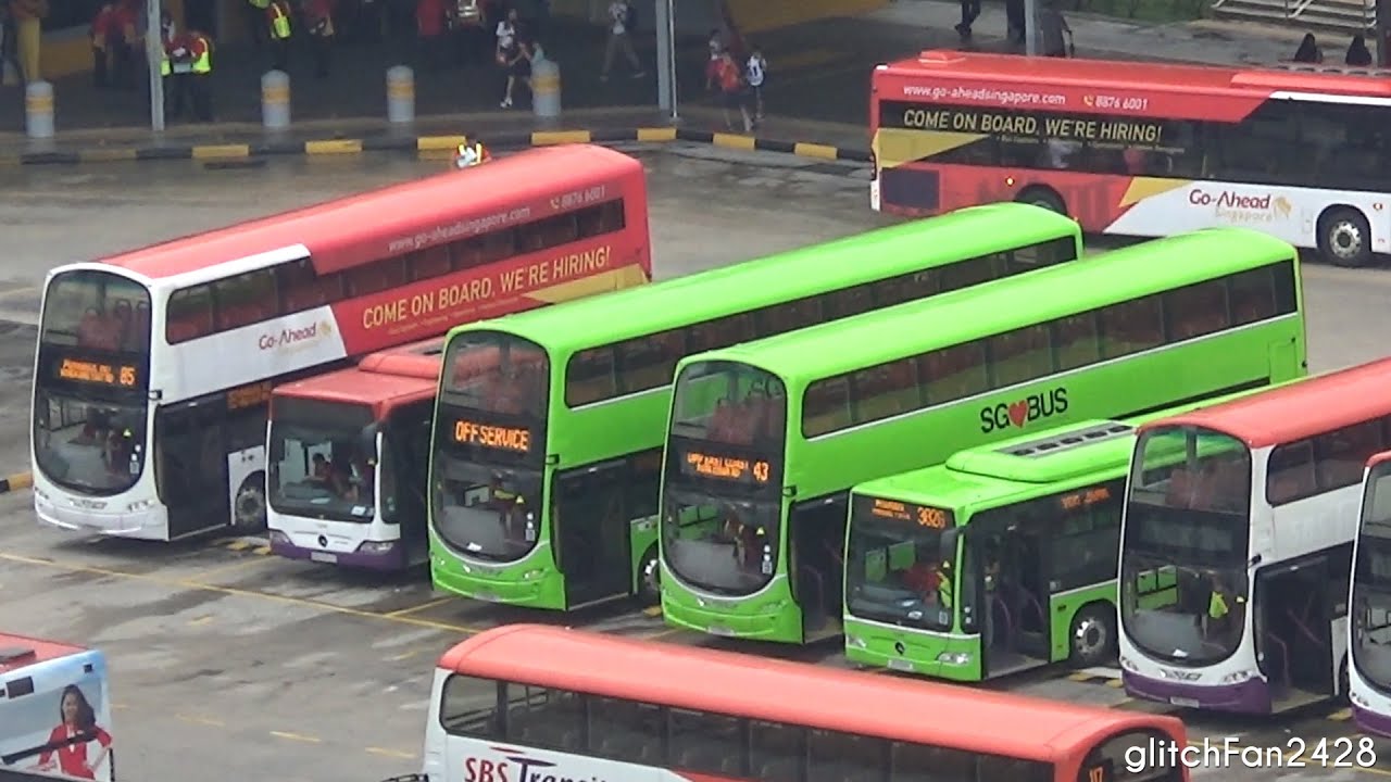 Punggol to Go-Ahead Part (4 of 4) - Go-Ahead Buses in Action