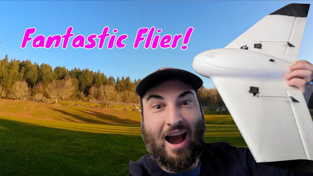 Flik Wing Soars: Watch The Maiden Flight Now!