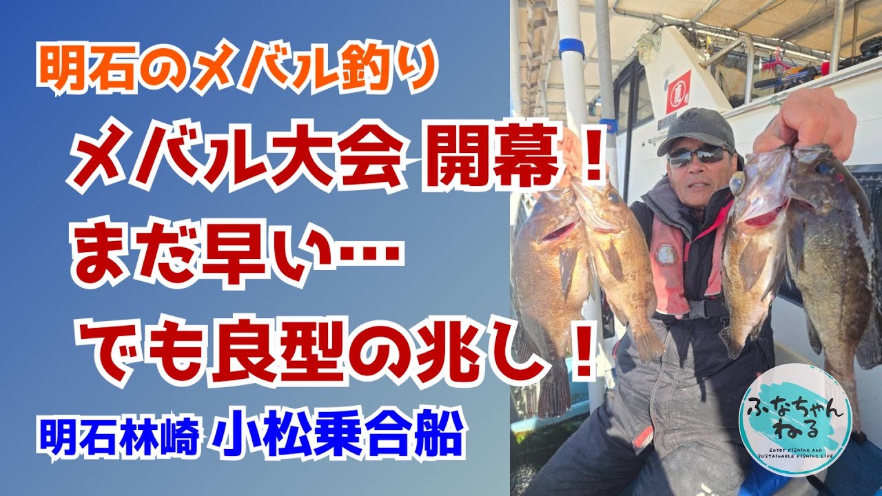 【メバル】小松乗合船メバル大会スタート！シーズン初釣行のリアル