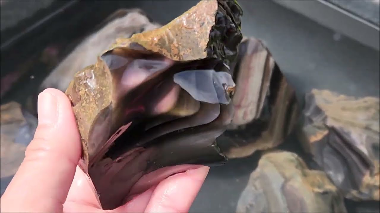 2022 picking obsidian in glass buttes Oregon