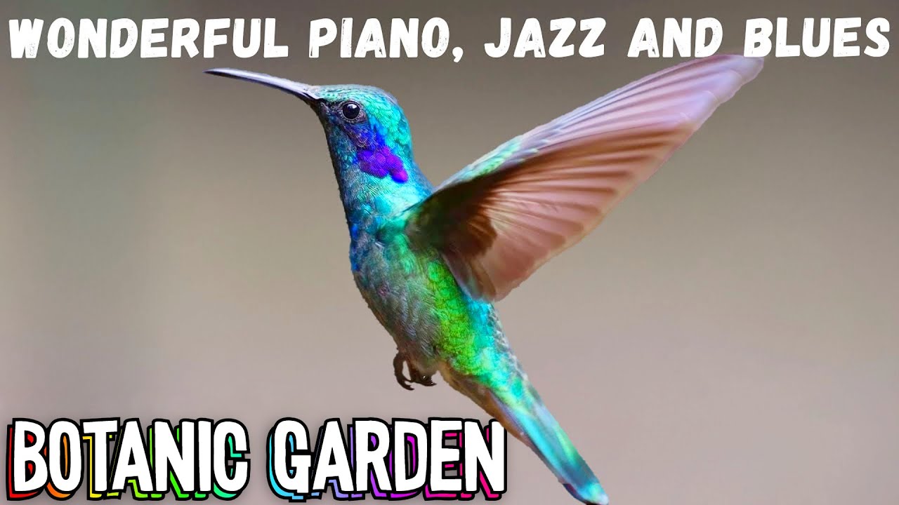 Piano, Jazz and Blues - Beautiful RelaxingTour | Chicago Botanic Garden